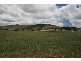 SPRING RANGE ROAD, Hall ACT 2618