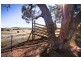 16 Englands Lane, Murrumbateman NSW 2582