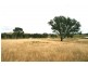 Lot 20/ Jiparu, Murrumbateman NSW 2582