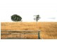 Lot 20/ Jiparu, Murrumbateman NSW 2582