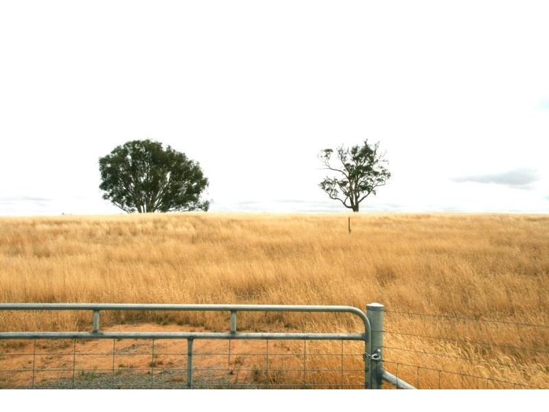 Lot 20/ Jiparu, Murrumbateman NSW 2582
