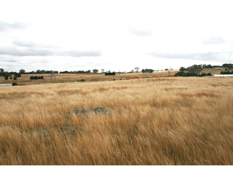 Lot 20/ Jiparu, Murrumbateman NSW 2582