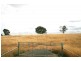 Lot 20/ Jiparu, Murrumbateman NSW 2582