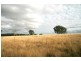 Lot 20/ Jiparu, Murrumbateman NSW 2582