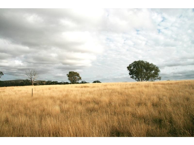 Lot 20/ Jiparu, Murrumbateman NSW 2582