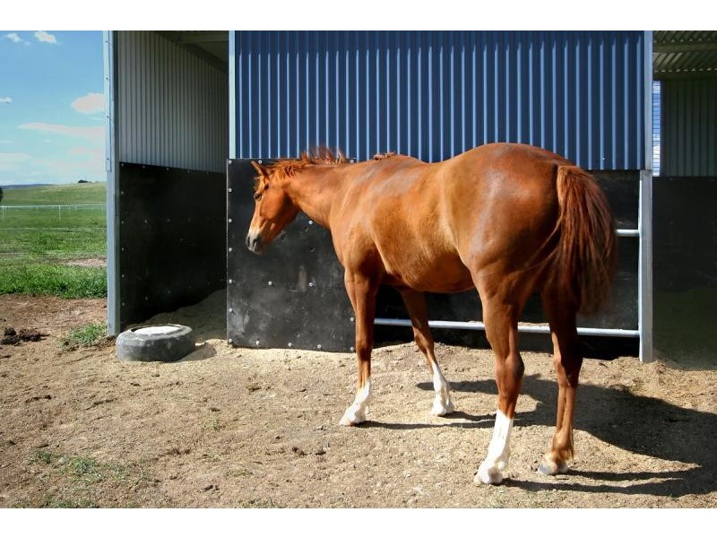 Lot 7/75 Kia-Ora Lane, Sutton NSW 2620