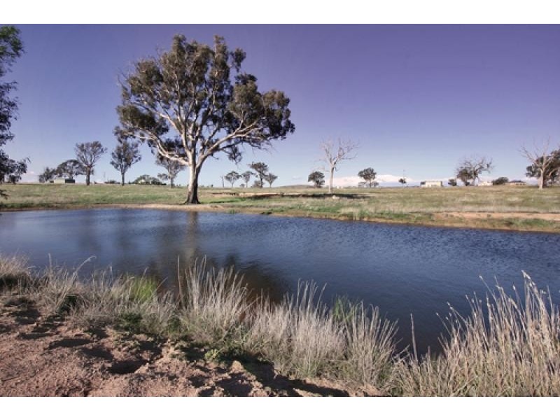 3 Ryslipp Drive, Murrumbateman NSW 2582