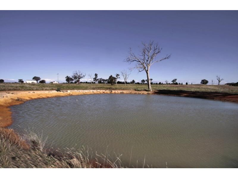 3 Ryslipp Drive, Murrumbateman NSW 2582