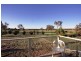 3 Ryslipp Drive, Murrumbateman NSW 2582