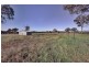 3 Ryslipp Drive, Murrumbateman NSW 2582