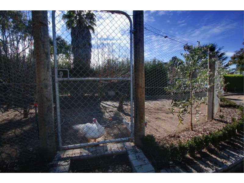 Lot 8/20 Camp Street, Murrumbateman NSW 2582