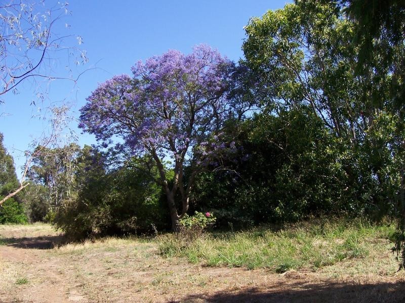 Lot 800/47 Hartung St, Mundaring WA 6073