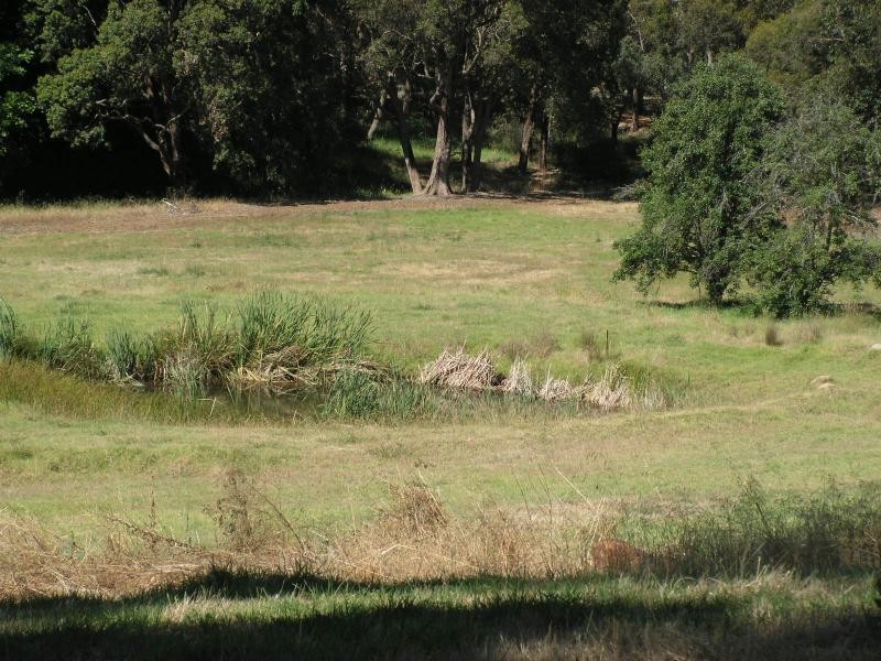 Lot 800/47 Hartung St, Mundaring WA 6073