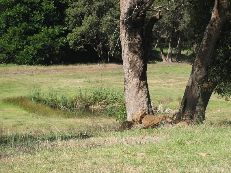 Lot 800/47 Hartung St, Mundaring WA 6073