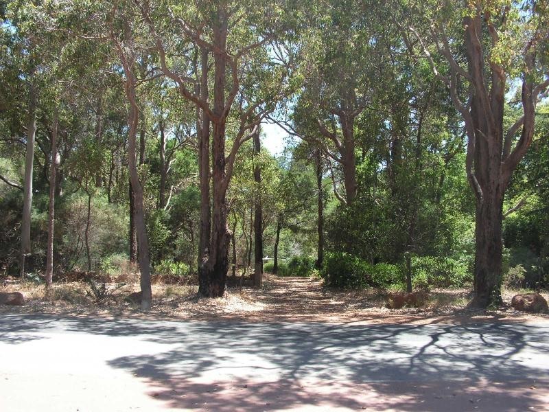 65 Hartung St, Mundaring WA 6073