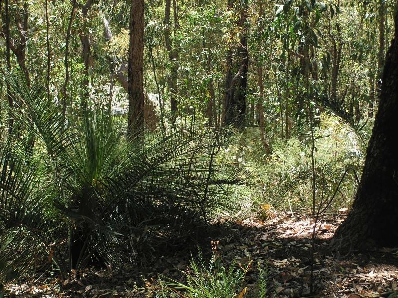 65 Hartung St, Mundaring WA 6073