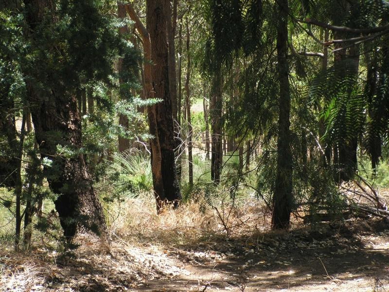 65 Hartung St, Mundaring WA 6073