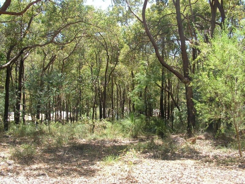 65 Hartung St, Mundaring WA 6073