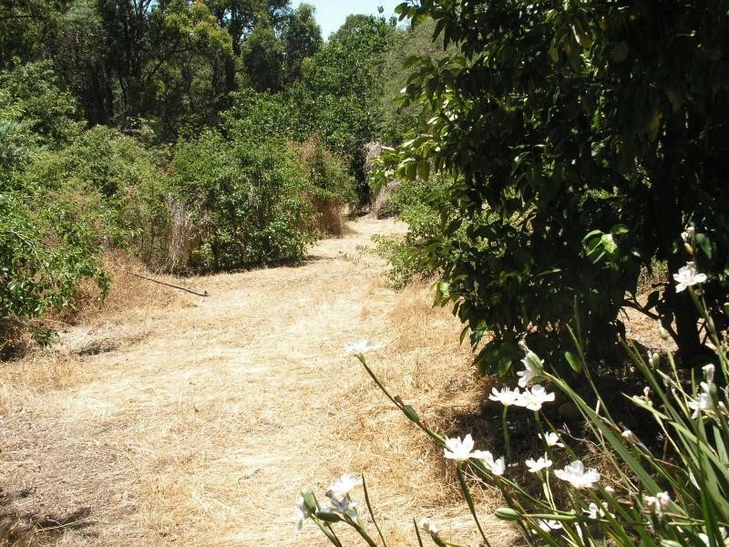 65 Hartung St, Mundaring WA 6073