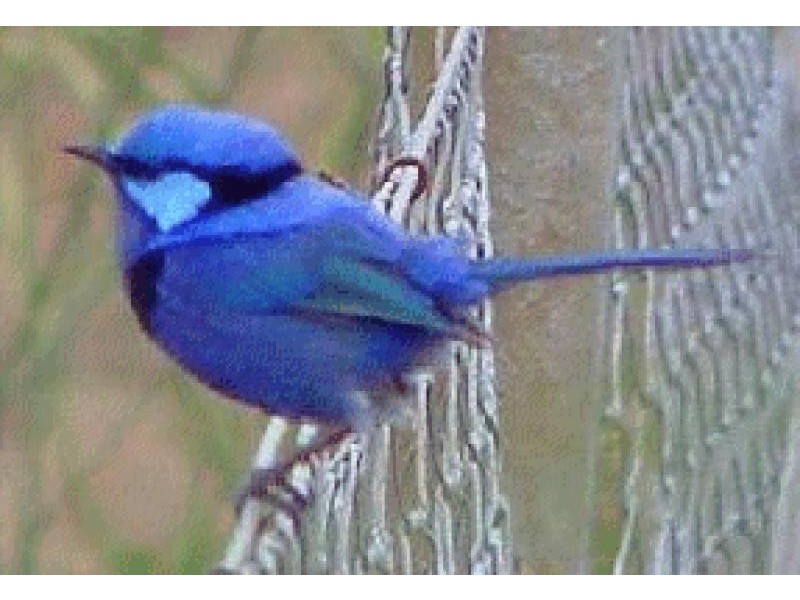 700 PROGRESS DRIVE, Chidlow WA 6556