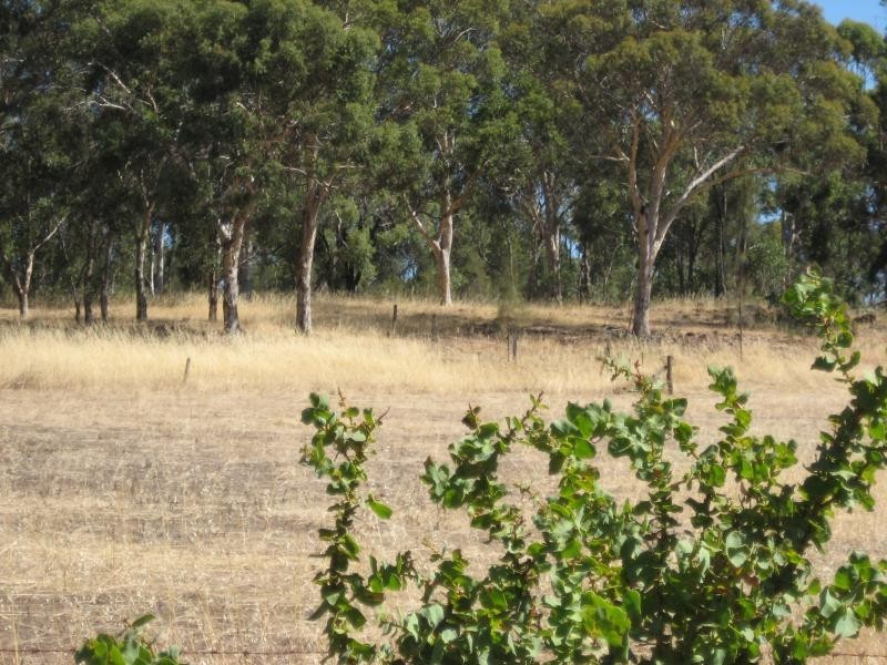 65 WERRIBEE ROAD, Wundowie WA 6560