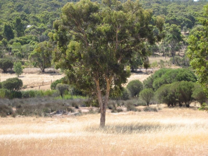 65 WERRIBEE ROAD, Wundowie WA 6560