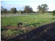 Lot 2/3427 Toodyay Rd, Gidgegannup WA 6083
