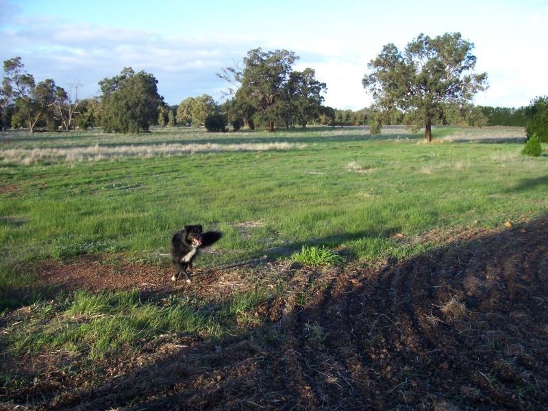 Lot 2/3427 Toodyay Rd, Gidgegannup WA 6083