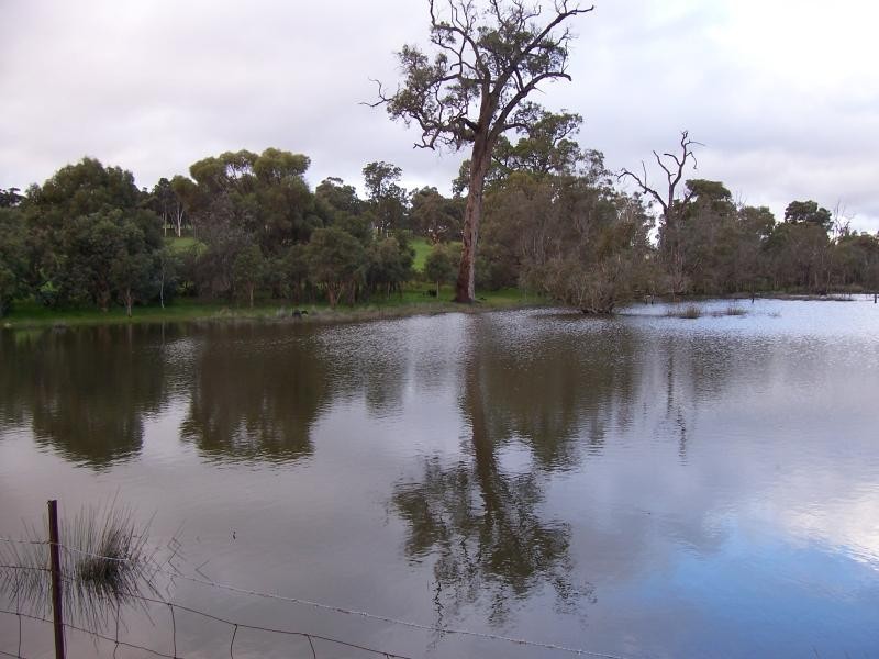 307 Chinganning Rd, Woottating WA 6562