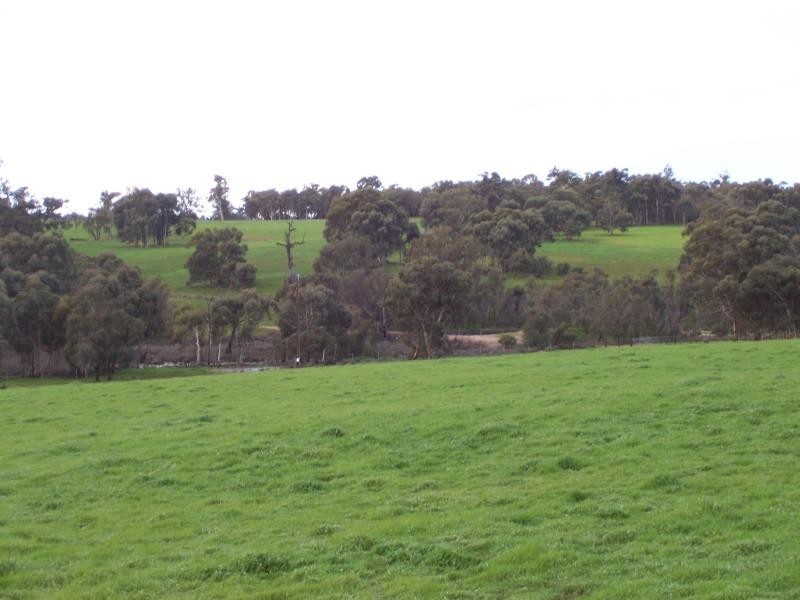 307 Chinganning Rd, Woottating WA 6562