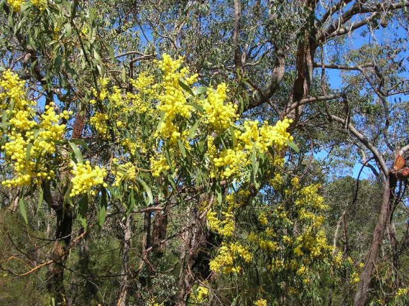 700 Progress Drive, Chidlow WA 6556