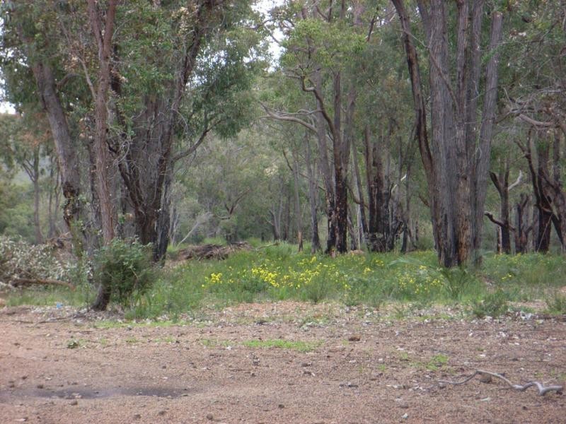 700 Progress Drive, Chidlow WA 6556