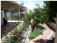 14 Pilbara Crescent, Jane Brook WA 6056