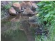 13 Mill End, Mount Helena WA 6082