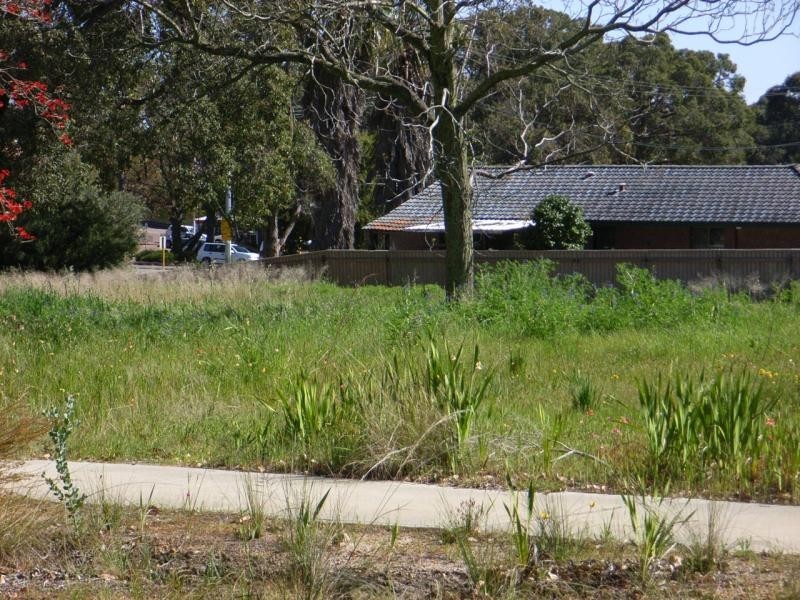 3 Chipper Street, Mundaring WA 6073