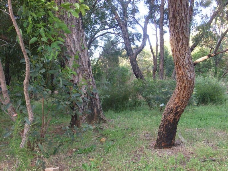 53 Onslow St, Chidlow WA 6556