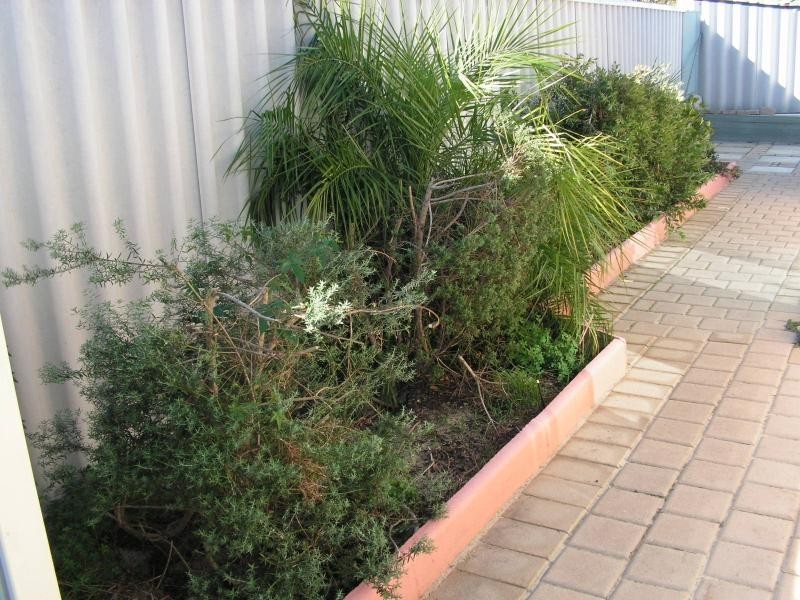 8 Numbit Lane, Swan View WA 6056