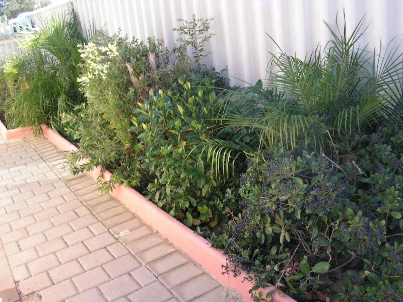 8 Numbit Lane, Swan View WA 6056