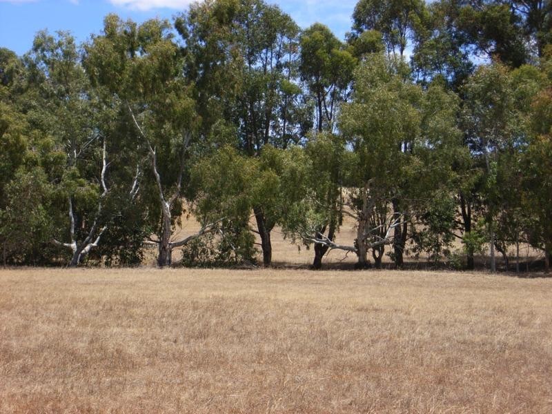 13 Horton road (Woottating), The Lakes WA 6556