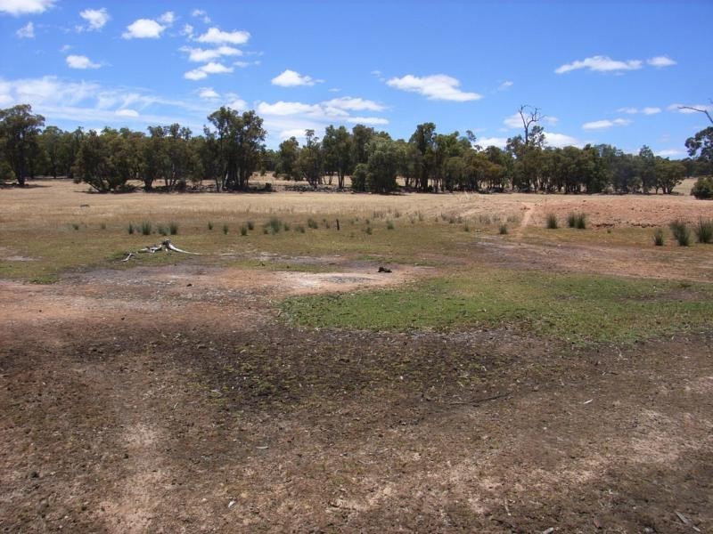 13 Horton road (Woottating), The Lakes WA 6556