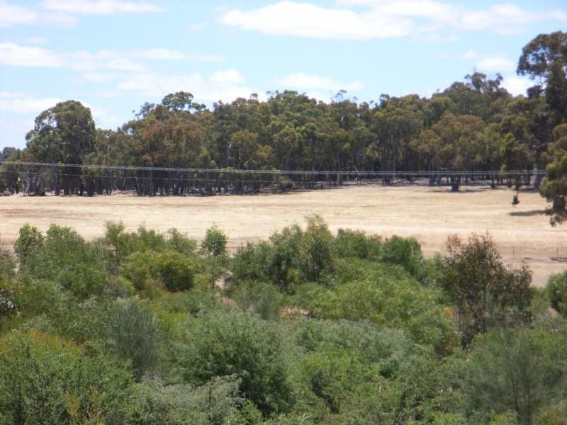 13 Horton road (Woottating), The Lakes WA 6556