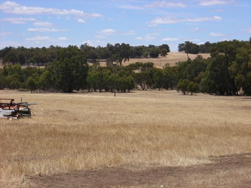 13 Horton road (Woottating), The Lakes WA 6556