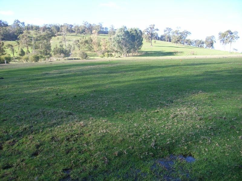 4880 Rosedale Road, Chidlow WA 6556