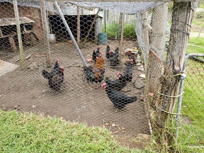 4880 Rosedale Road, Chidlow WA 6556