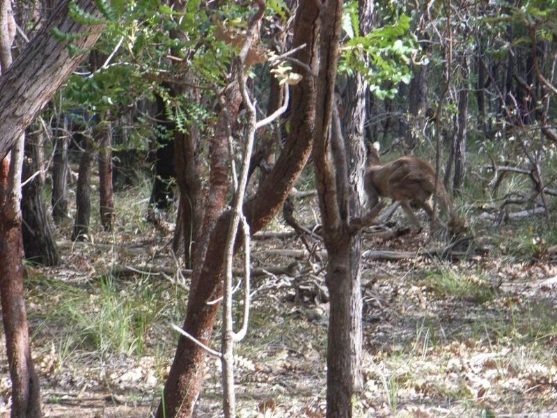 Lot 324/ Stoneville Road, Gidgegannup WA 6083