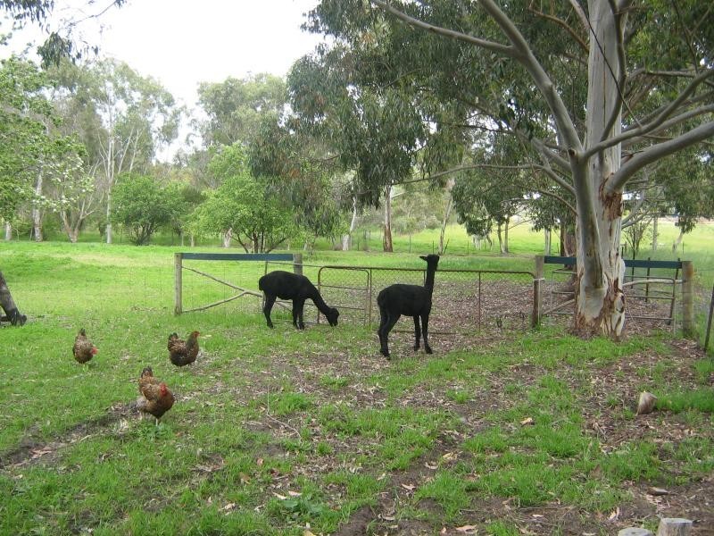 215 Rosedale Road, Chidlow WA 6556