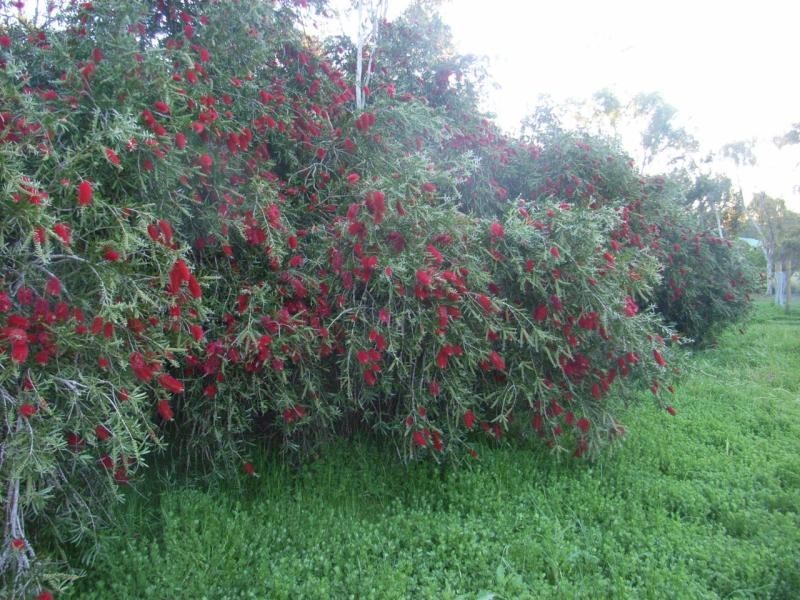 215 Rosedale Road, Chidlow WA 6556