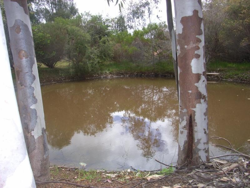 2030 Forge Drive, Chidlow WA 6556