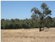 Lot 107/ Acacia Retreat, Wundowie WA 6560