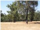 Lot 107/ Acacia Retreat, Wundowie WA 6560
